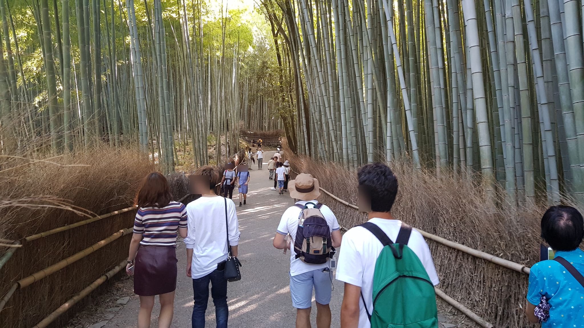 Bamboo Forest - Kyoto, Japan